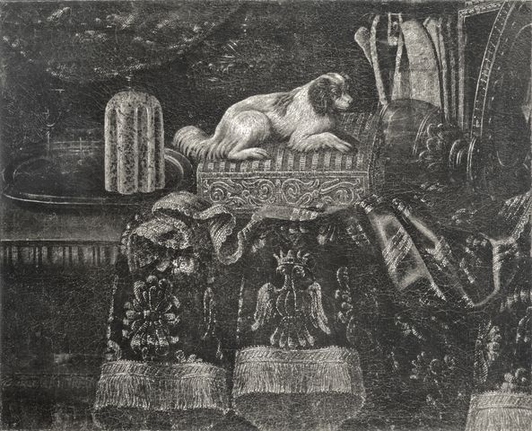 C.N.B. — Fieravino Francesco (il Maltese) - sec. XVII - Natura morta con tappeto, cagnolino, cofanetto e oggetti metallici — insieme